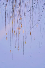 D00BBF30-8052-4F08-9E11-237205DBB74E/L0/001