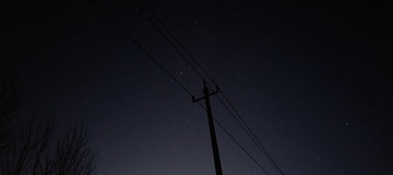 1000056304