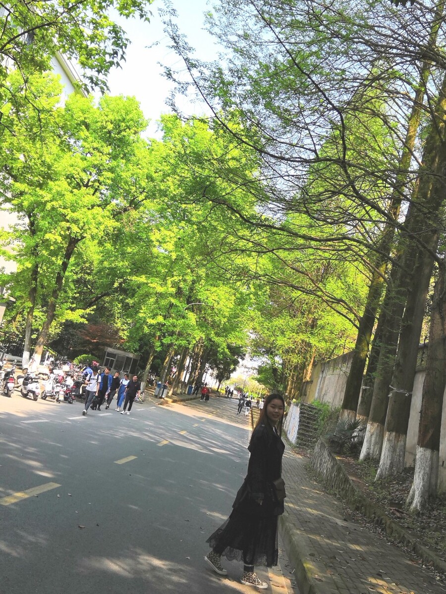 武汉樱花大道抓拍一张