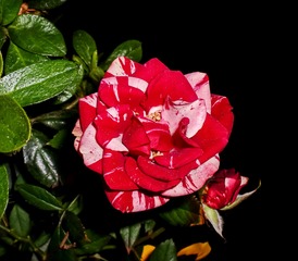 001