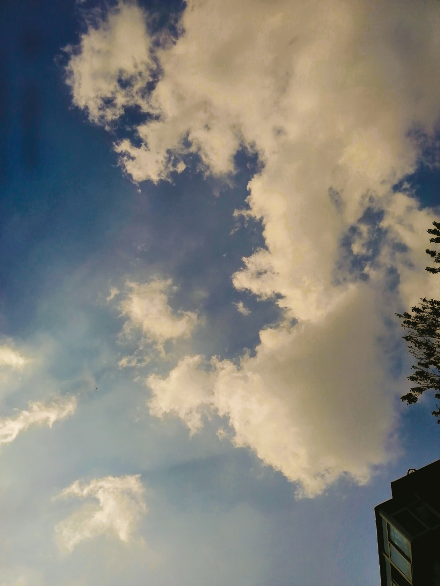 我是你的知心男闺蜜