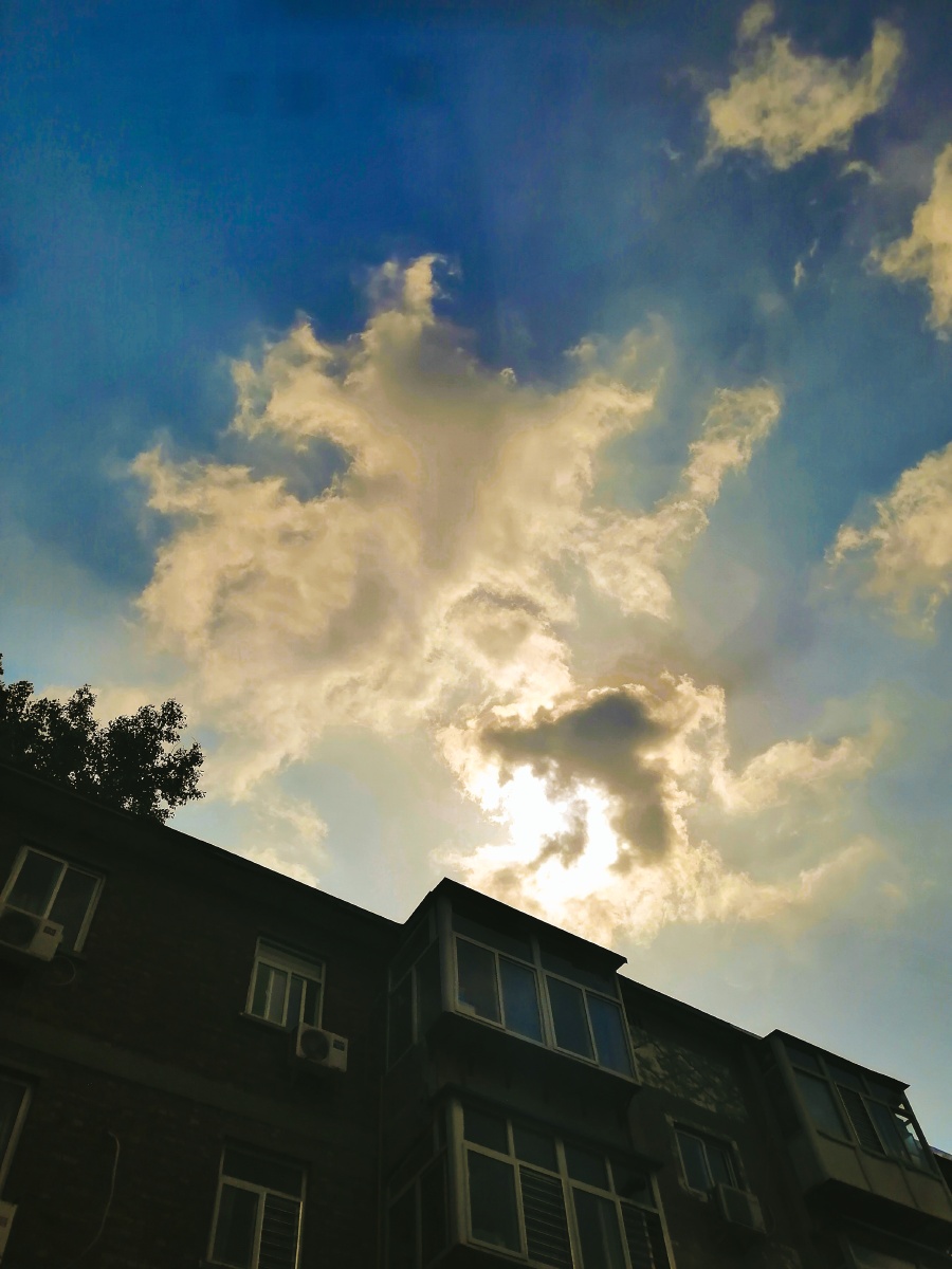 我是你的知心男闺蜜