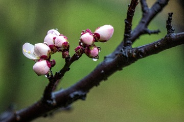 C3D3B775-AB08-431F-B722-F9383071B93C/L0/001