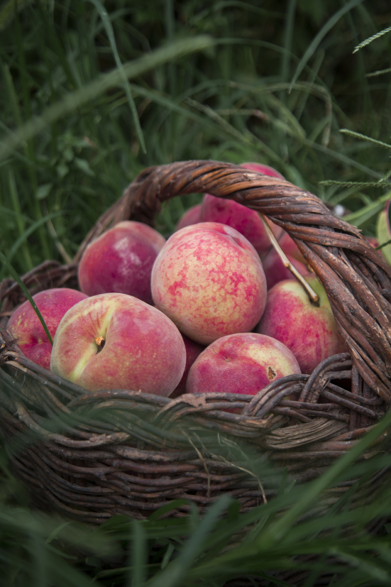 酸桃甜梨一筐又一筐