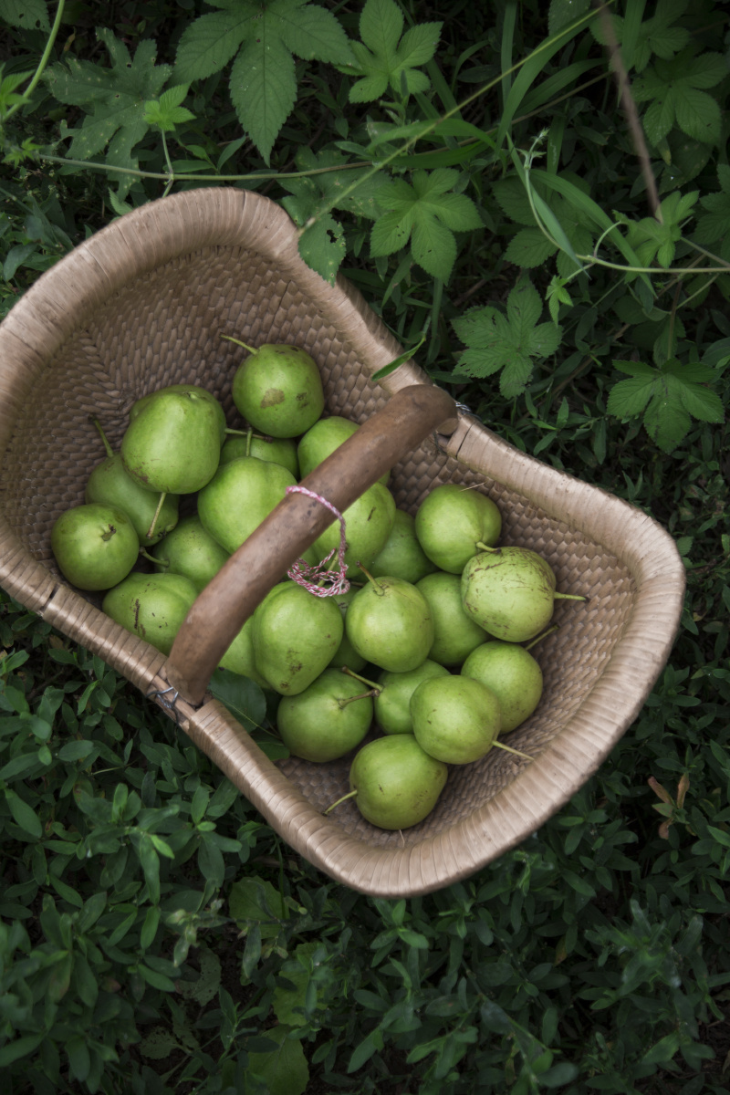 酸桃甜梨一筐又一筐