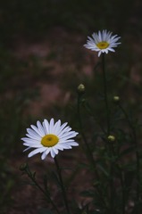 110885