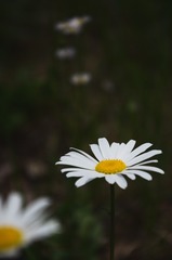 110884