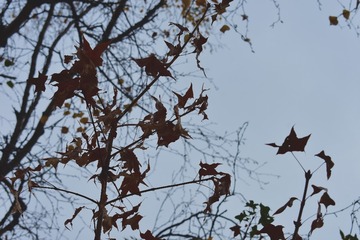 2D548FE7-5097-4B8F-AFB2-19A5EDCF06C5/L0/001