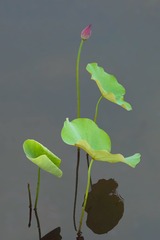 001