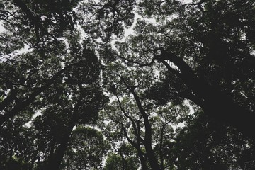 137F059E-B6DC-49AD-BF36-8BA7D6079DB9/L0/001