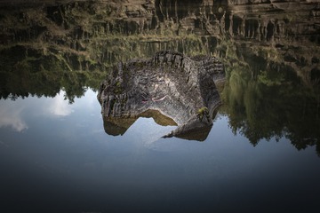 891330