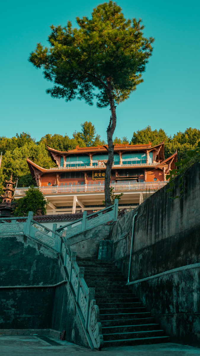 义乌市南山公园——永青岩寺小闷闷先生关注