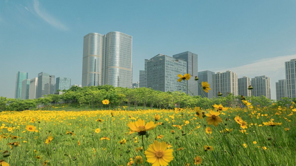 浙江义乌市江滨公园新光汇