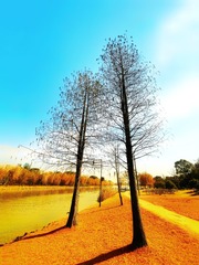 A4D0A230-651E-4D60-9066-D7407ED7E854/L0/001