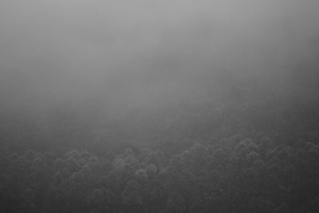 22A40802-E89C-4B6D-BA4B-C16DCD897996/L0/001
