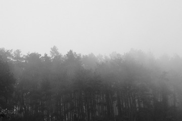 C3C501A7-BDF0-4F3C-BF39-D26DE6F78E4B/L0/001