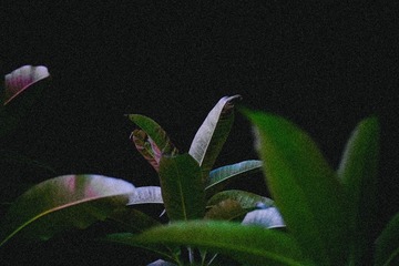 71EC6700-A5F0-4F98-9BCD-ACEDD2E9A91B/L0/001
