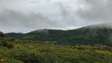 1000065573
