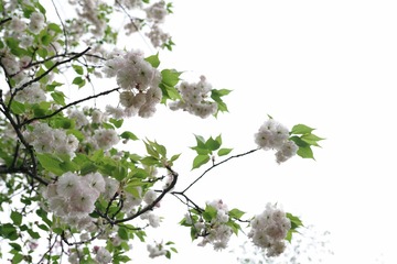 F34D845C-5408-42E9-8580-F332768F6A3E/L0/001