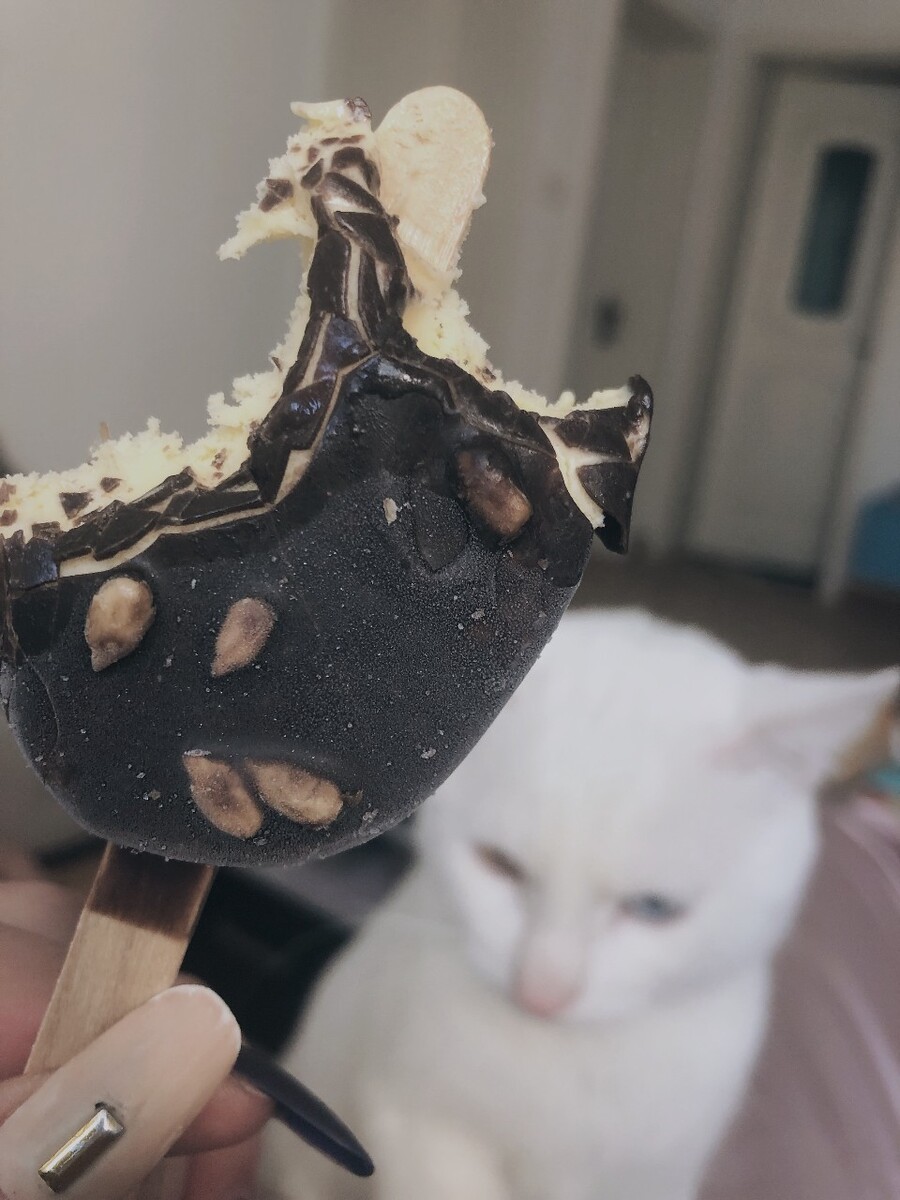 椰浆能做哪些蛋糕饼干