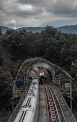 431011