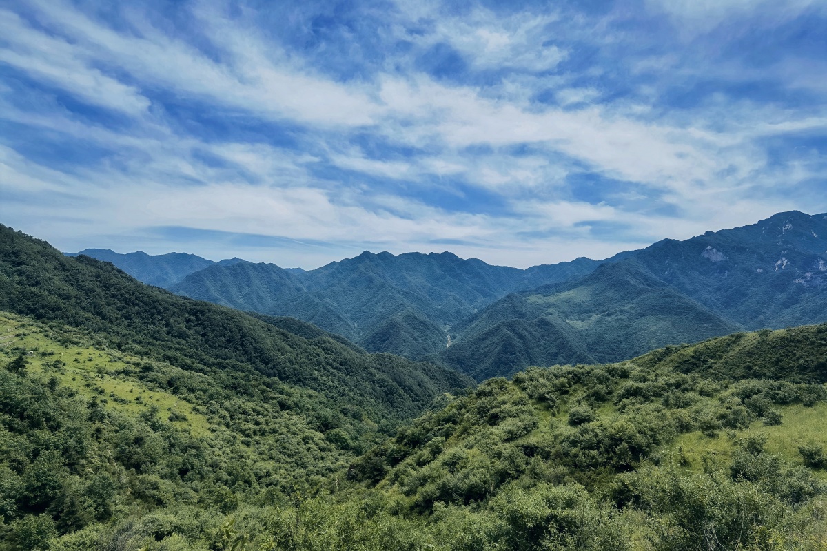 秦岭夏日自然风光456789