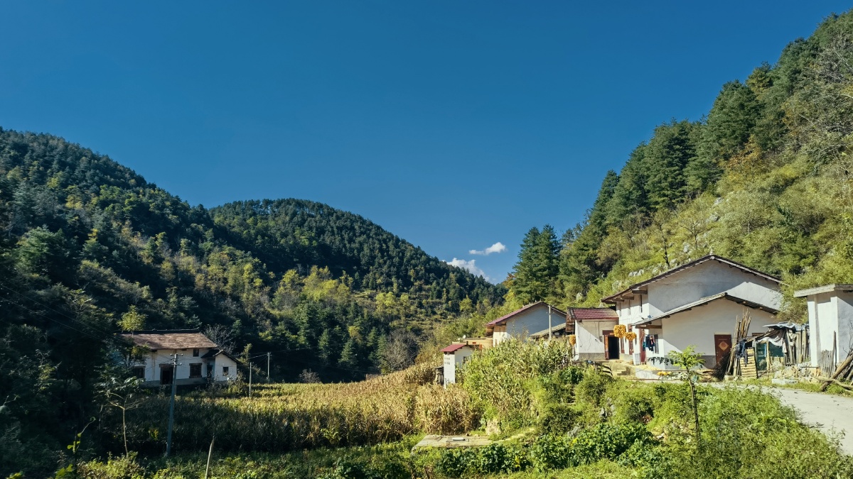 宁静的秦岭陕南山村