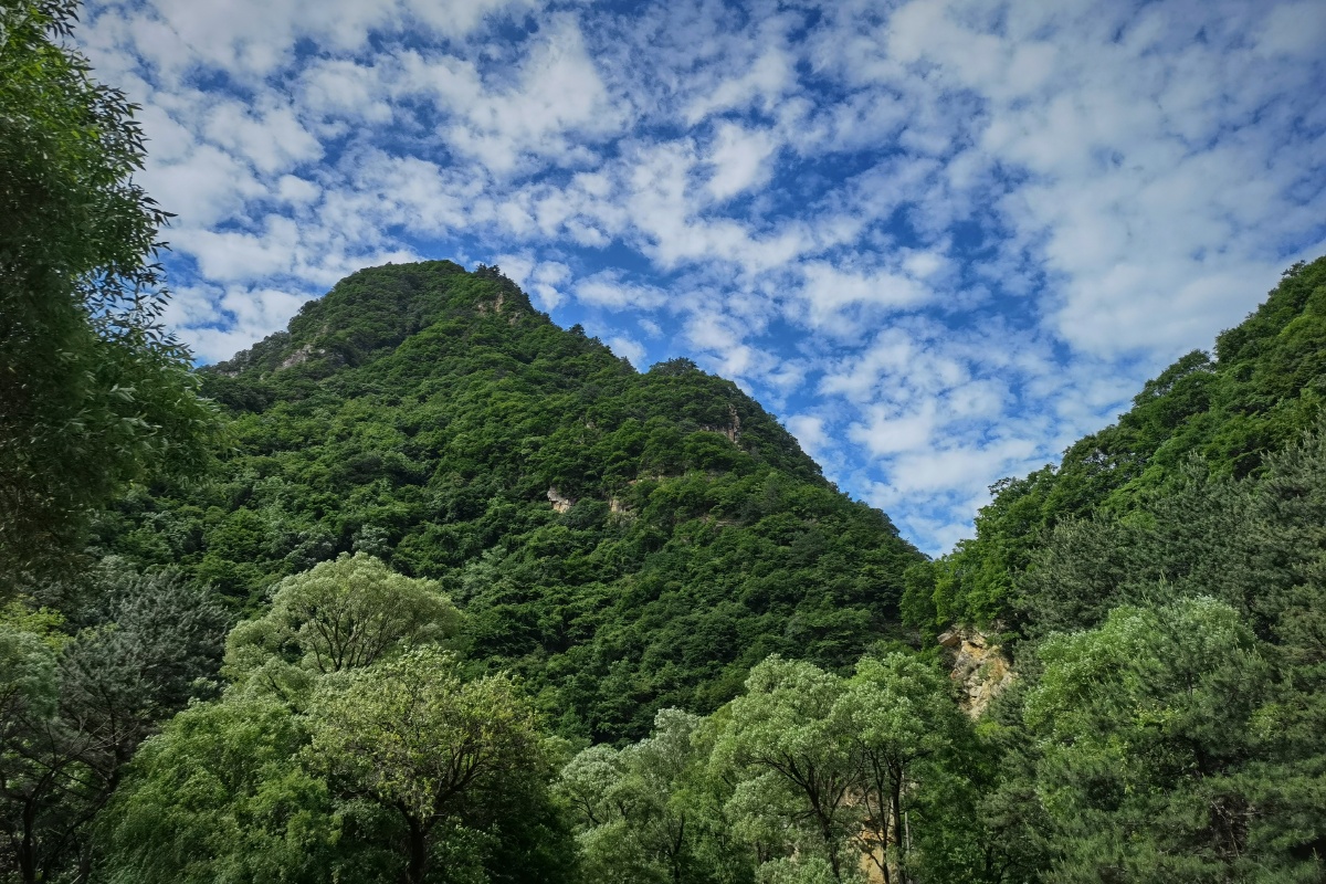 夏日秦岭终南沟沟口风光