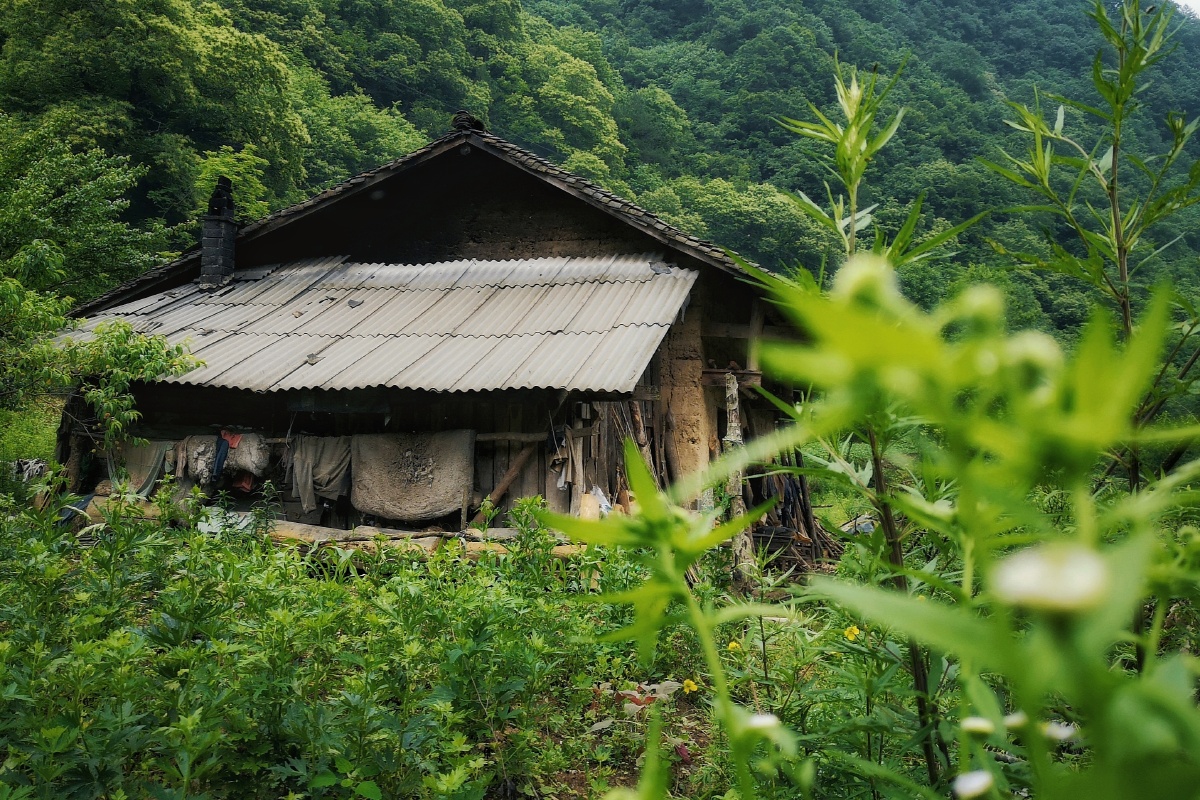 隐秘的角落秦岭深山中一户农家