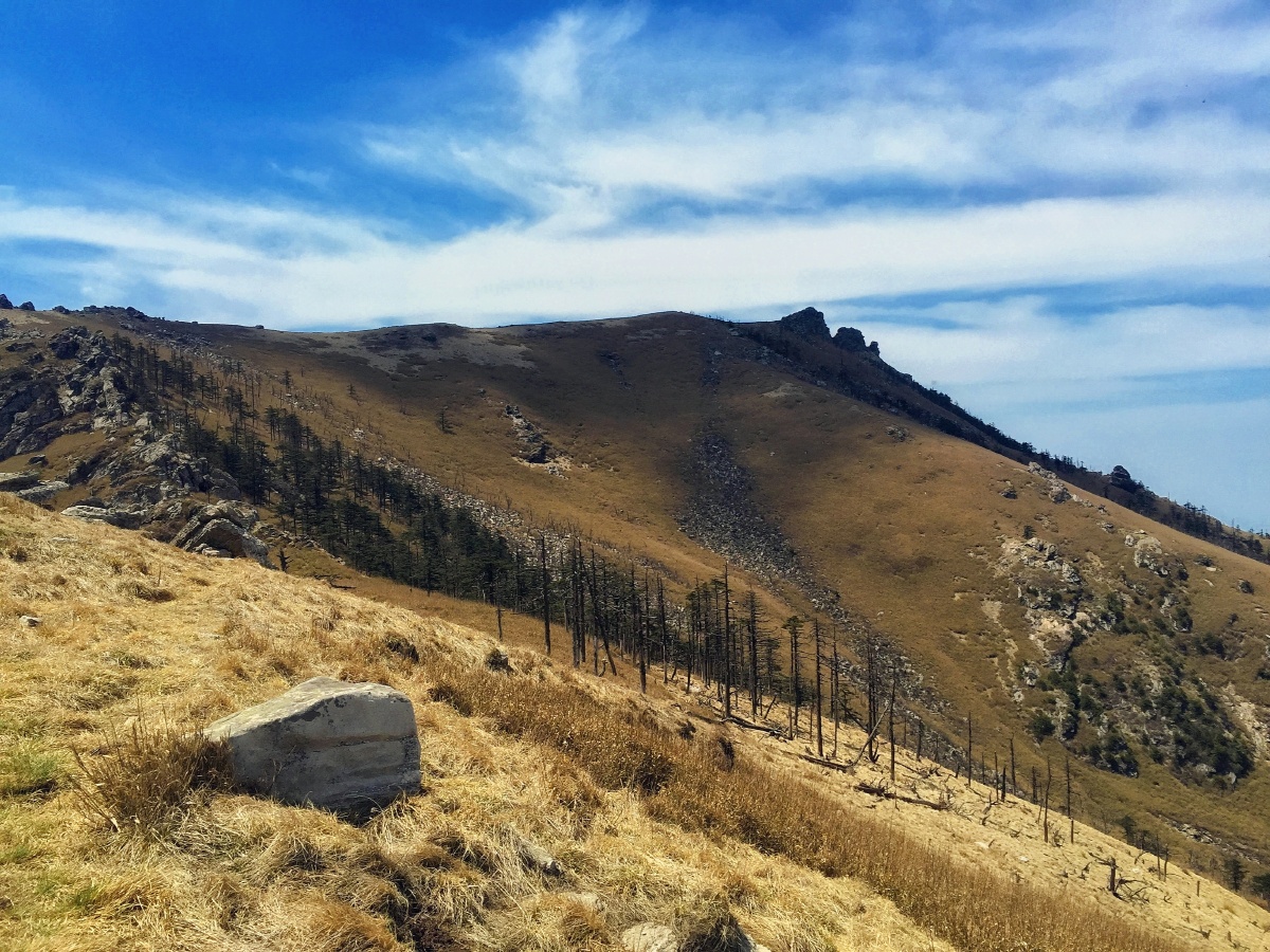 秦岭跑马梁风光