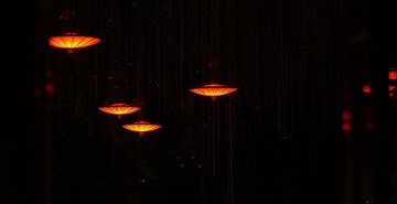 76330E2D-A611-425D-854C-B4DFE2645600/L0/001
