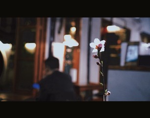 87B71E9B-9A03-4E88-BC76-AA00A05EF444/L0/001