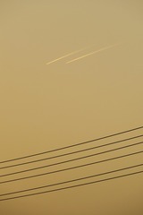 1249079