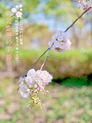 E913B31A-E538-44C4-B971-4460EFAD5F4D/L0/001