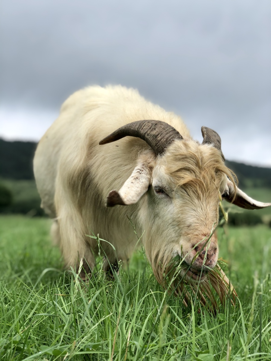 点赞是美德,打赏是鼓励打赏还没有人打赏,快来当第一个打赏的人吧