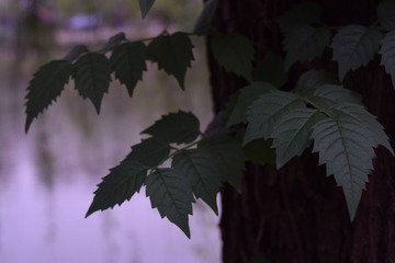 1530873