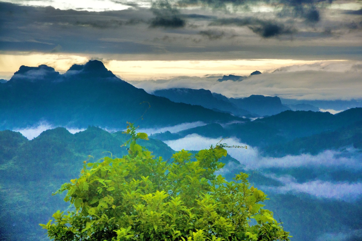 山寨云雾组照拍摄于湖北省利川市文斗乡五里峡