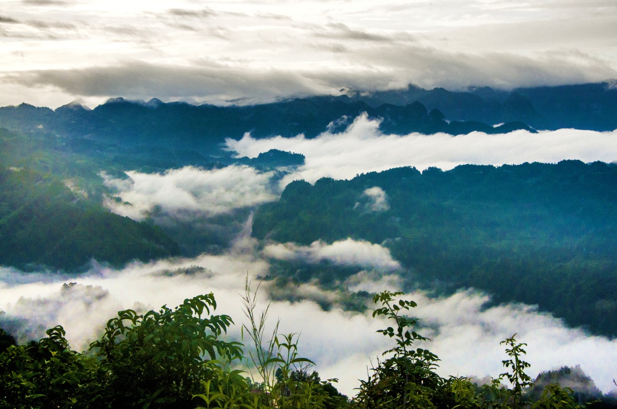 山寨云雾组照拍摄于湖北省利川市文斗乡五里峡