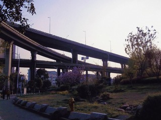 1569735
