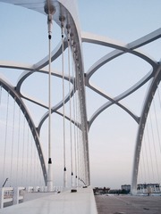 1456331