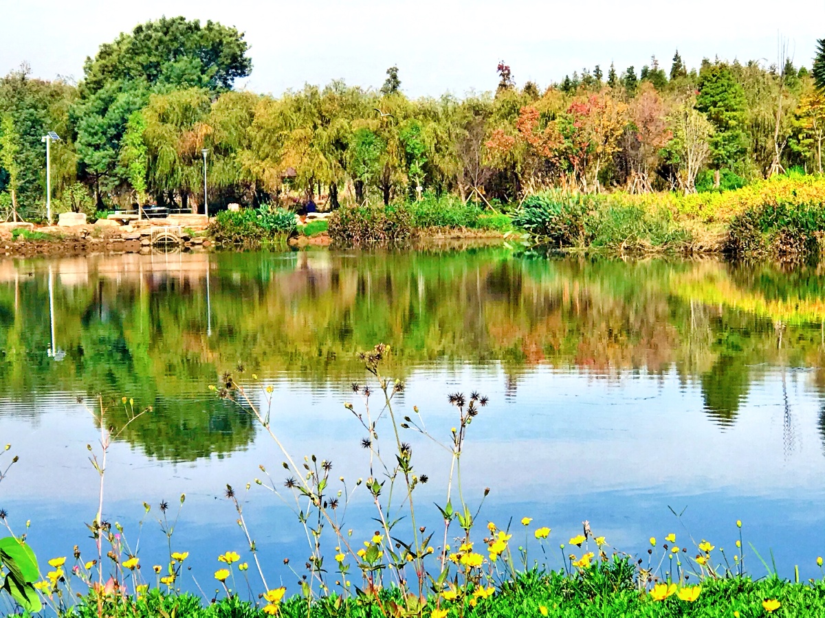 昆明海洪湿地公园自然风景优美