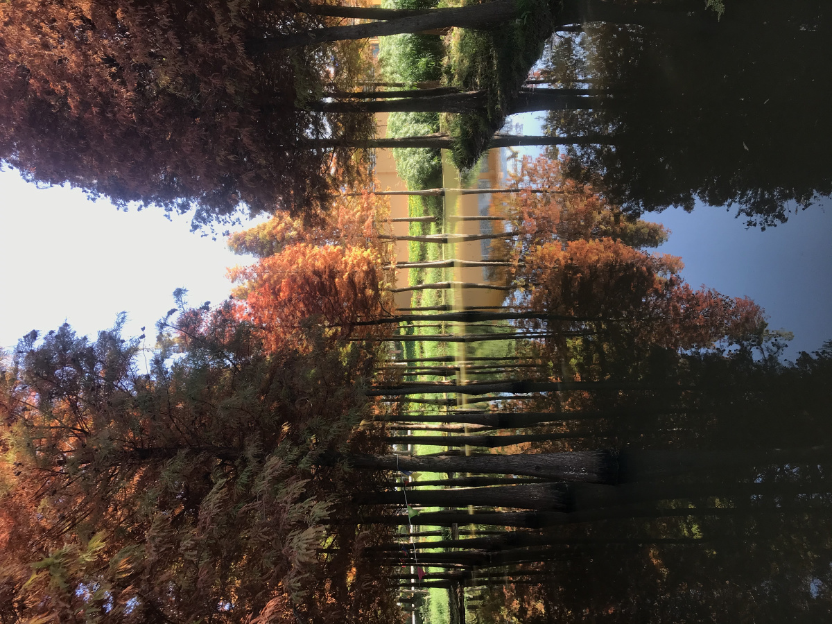 昆明海洪湿地公园自然风景优美