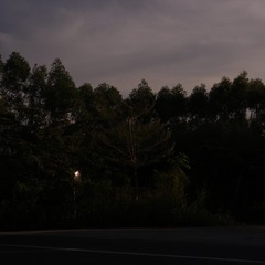 6A0988B3-D4D0-42D9-A179-C1A8D25D7C0C/L0/001