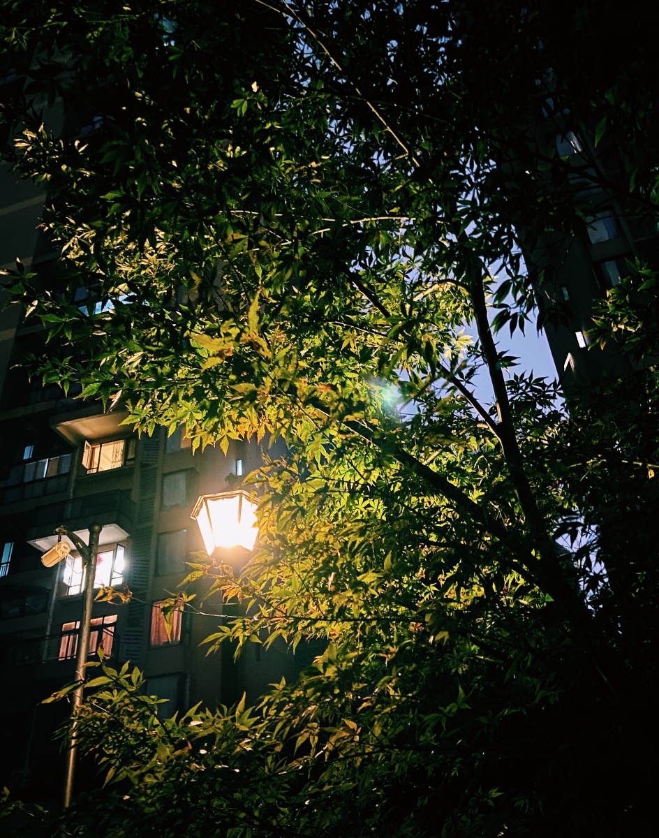 城市小景夏夜的灯和秋夜的灯