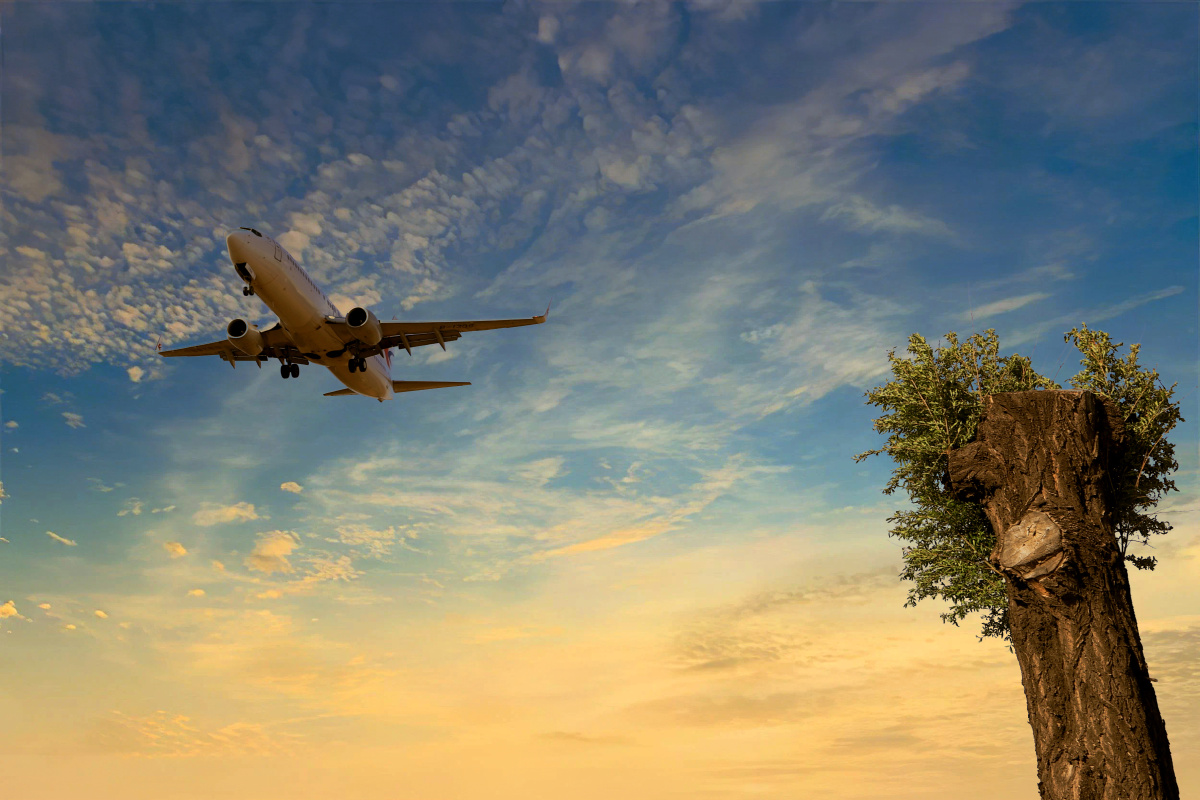 飞机有朝霞的飞机最美