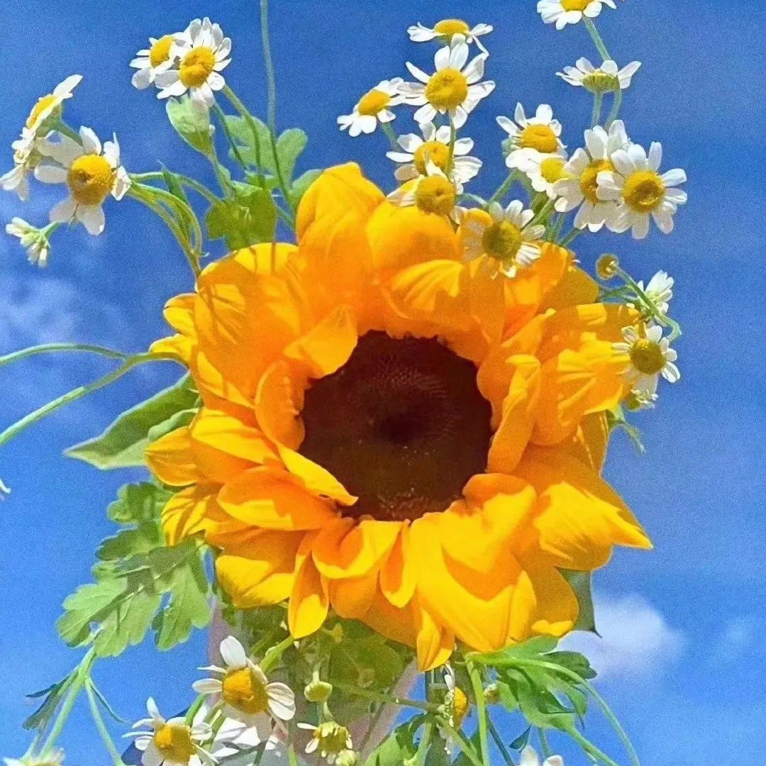 六月再见 七月你好 舆所有的美好 不期而遇