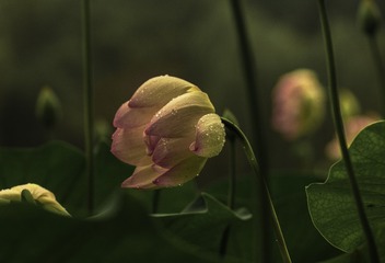 805605
