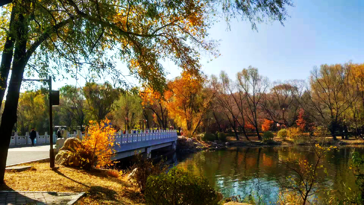 长春南湖公园之秋