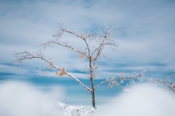 0D53A29E-1336-4500-92C3-F517EE54AA34/L0/001