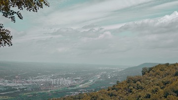 1000011540